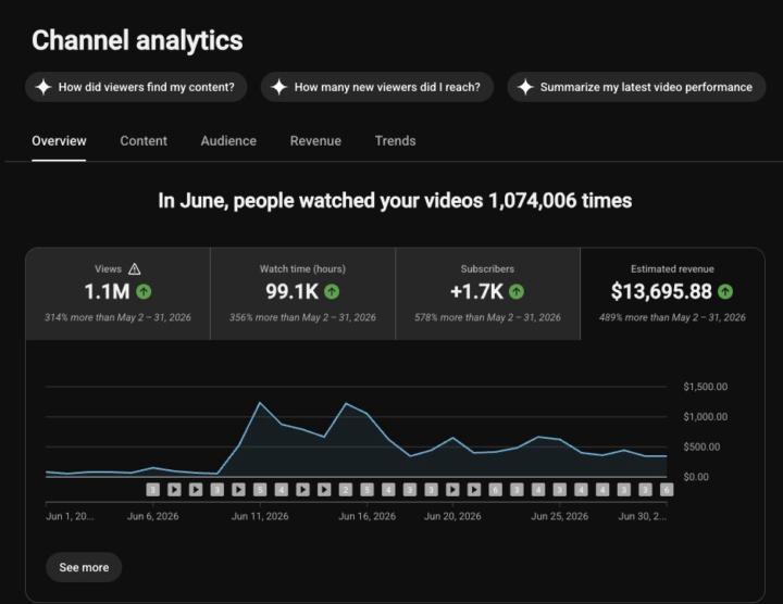 1.1 Million Views Turned Into $13,695 💰