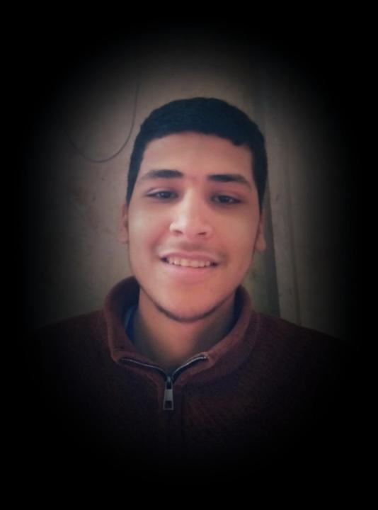 محمد السيد البطل