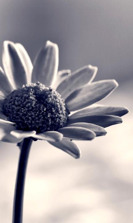 Päivi Takala Takala