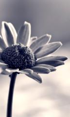 Päivi Takala Takala