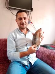 محمد الشناوى