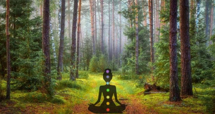 The Sacred Lotus Community