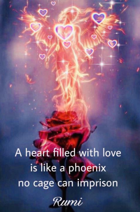 Where/When do the live events begin?