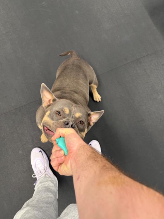 Christopher Paul Austin.