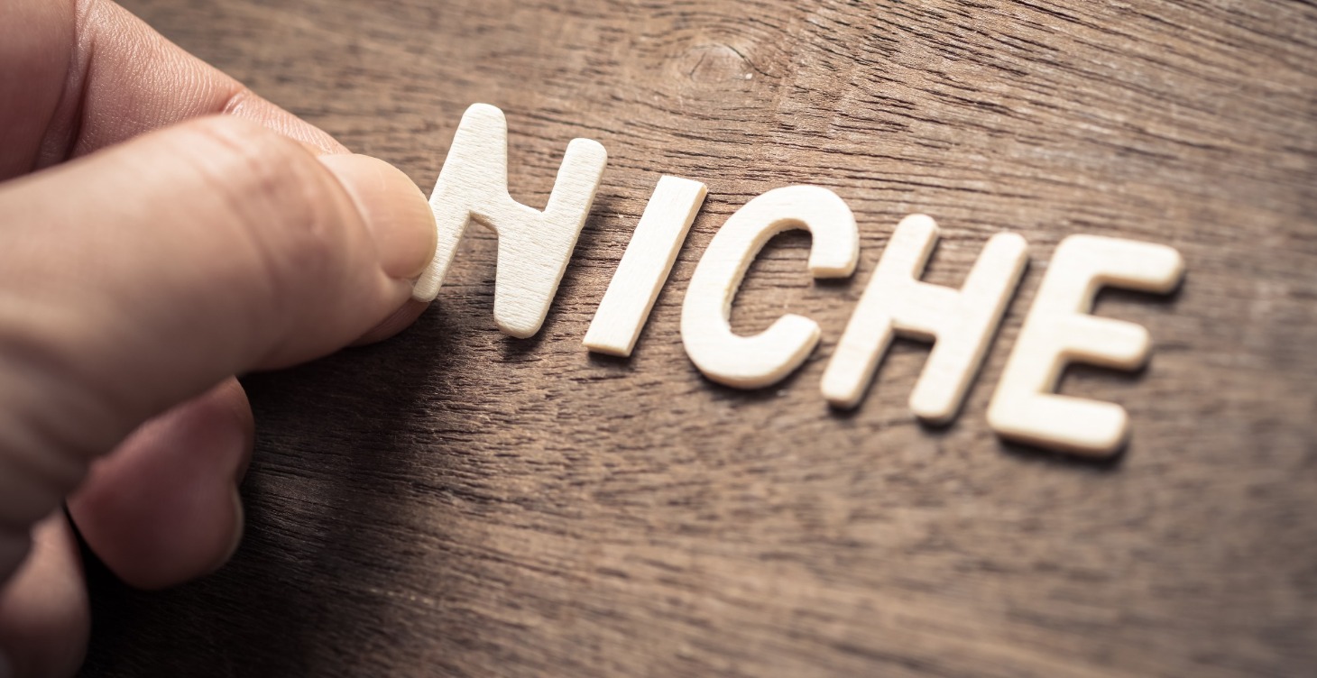 Module 2: Find your niche