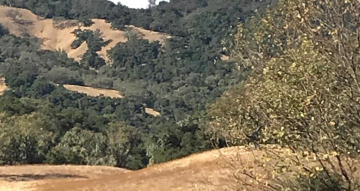 Nature's Farm School