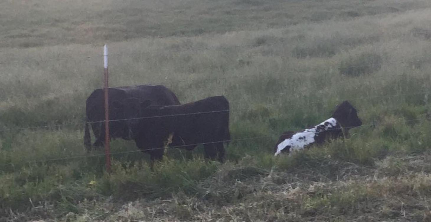 Intro to Understanding Soil