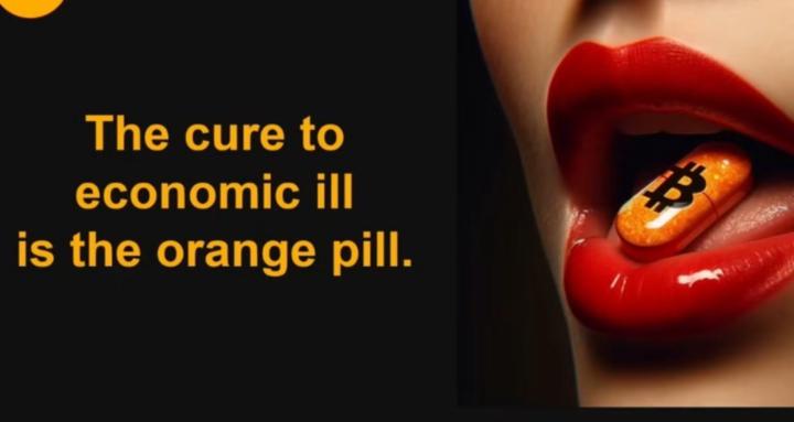 Orange Pilled