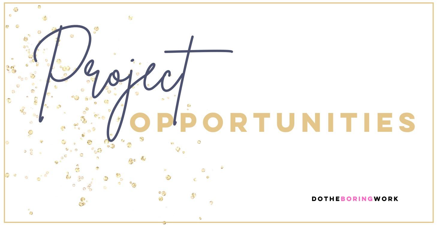 Project Opportunities