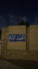 Hodo Ali