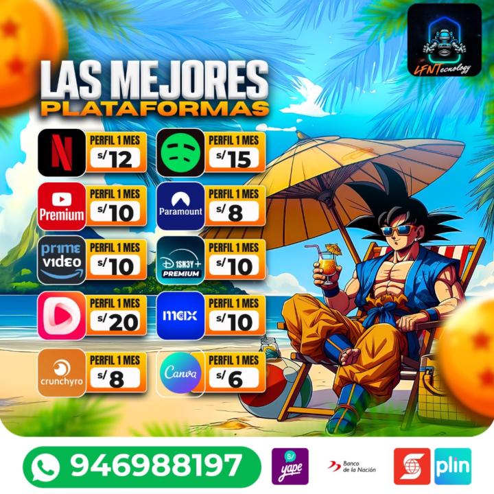 Luis Francisco Navarro Torres