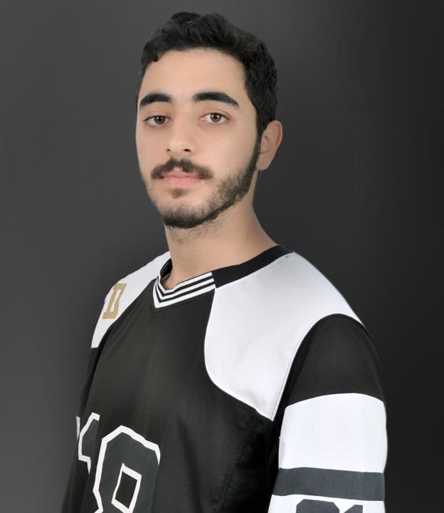 Mehdi Elaouam