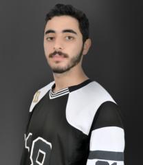 Mehdi Elaouam