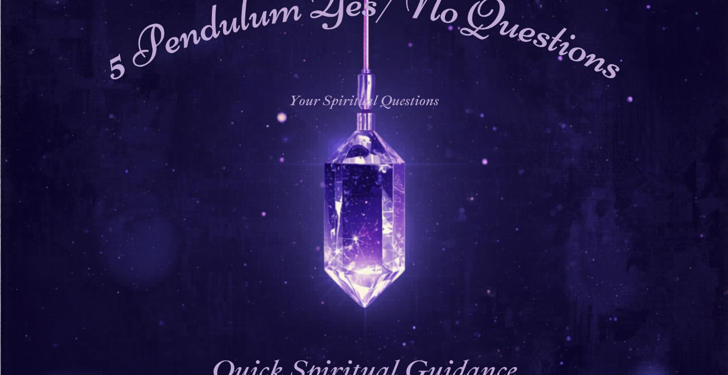 5 Yes/No Questions