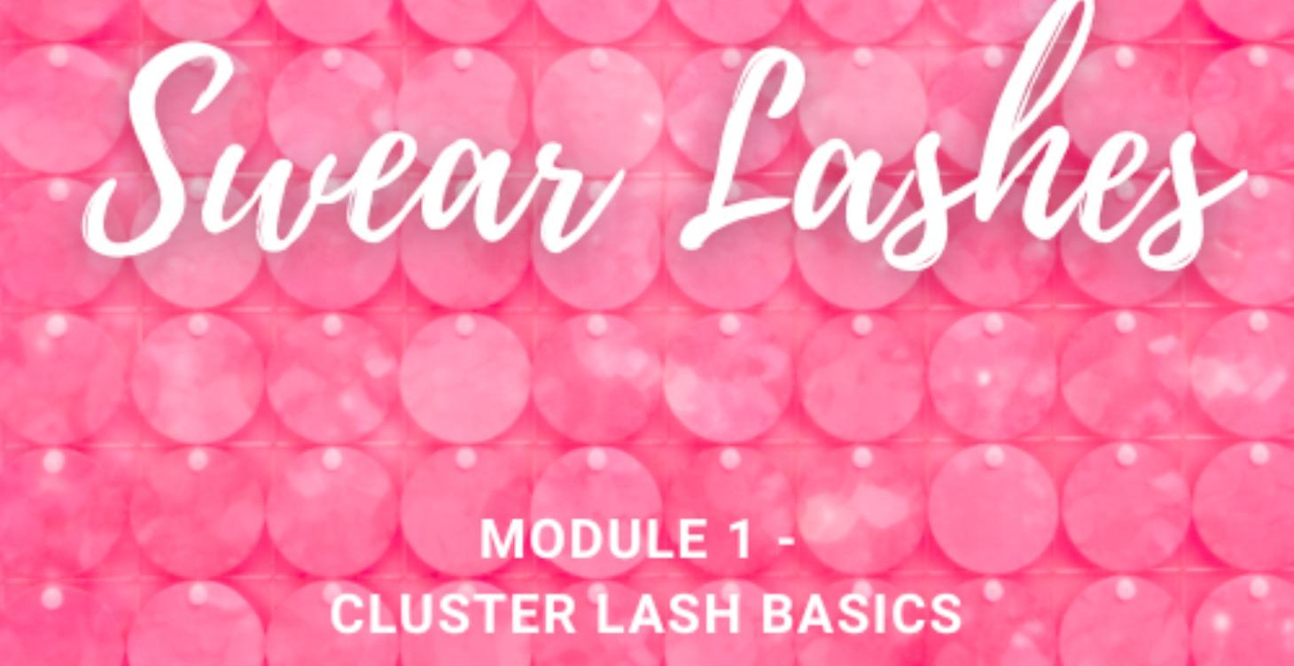 Module 1 - Cluster Lash Basics