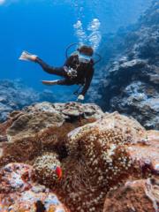 古 ㄒㄧㄣ ㄩㄒㄧㄣ ㄩ芯瑜