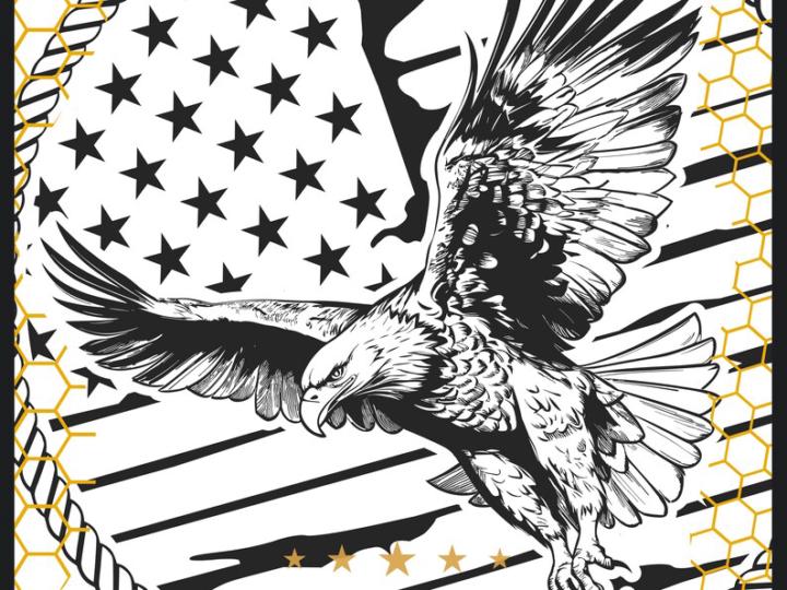 Eagle and Distressed Flag