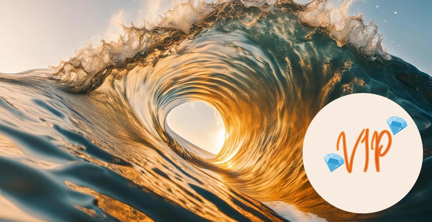 💎VIP💎