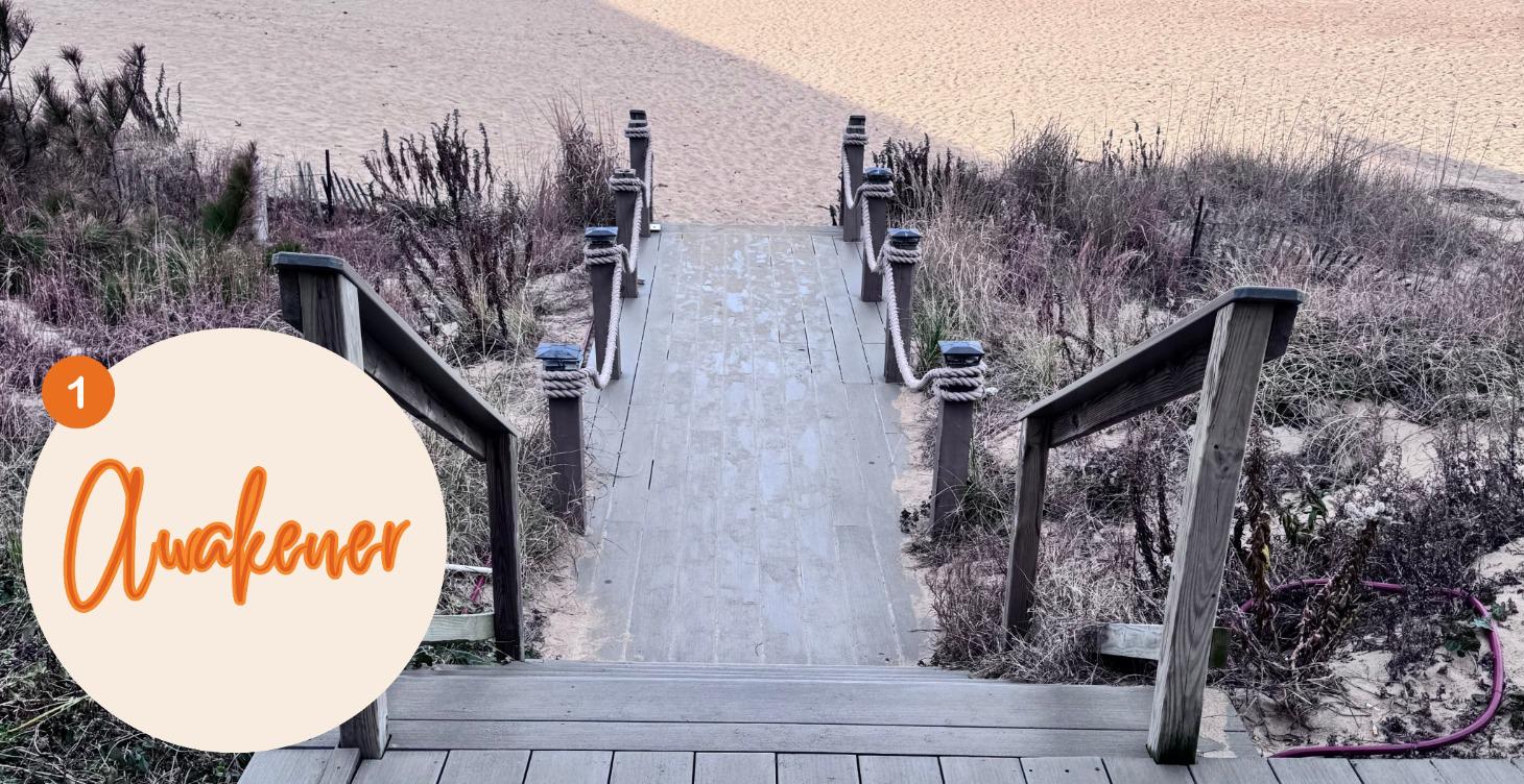 💡Level 1 - The Awakener