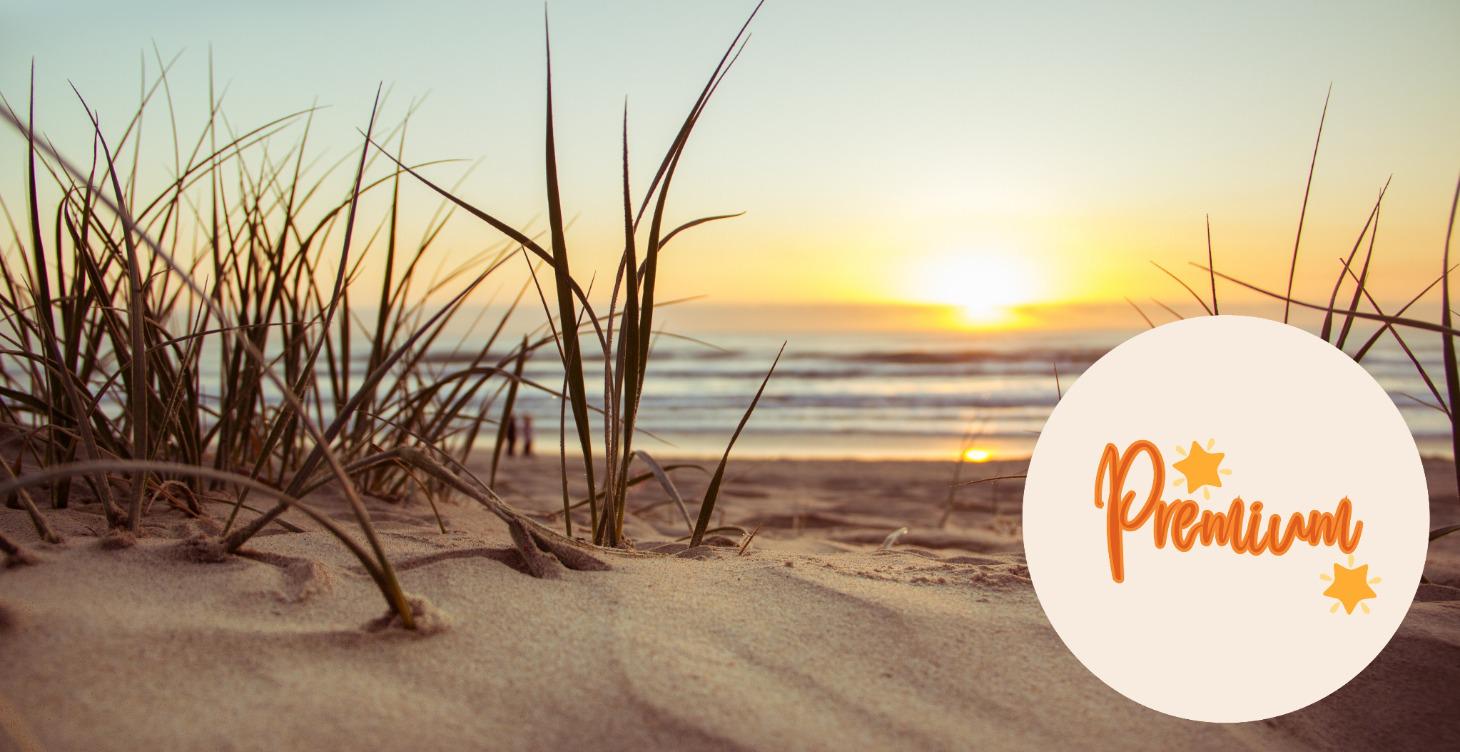 🌟Premium🌟