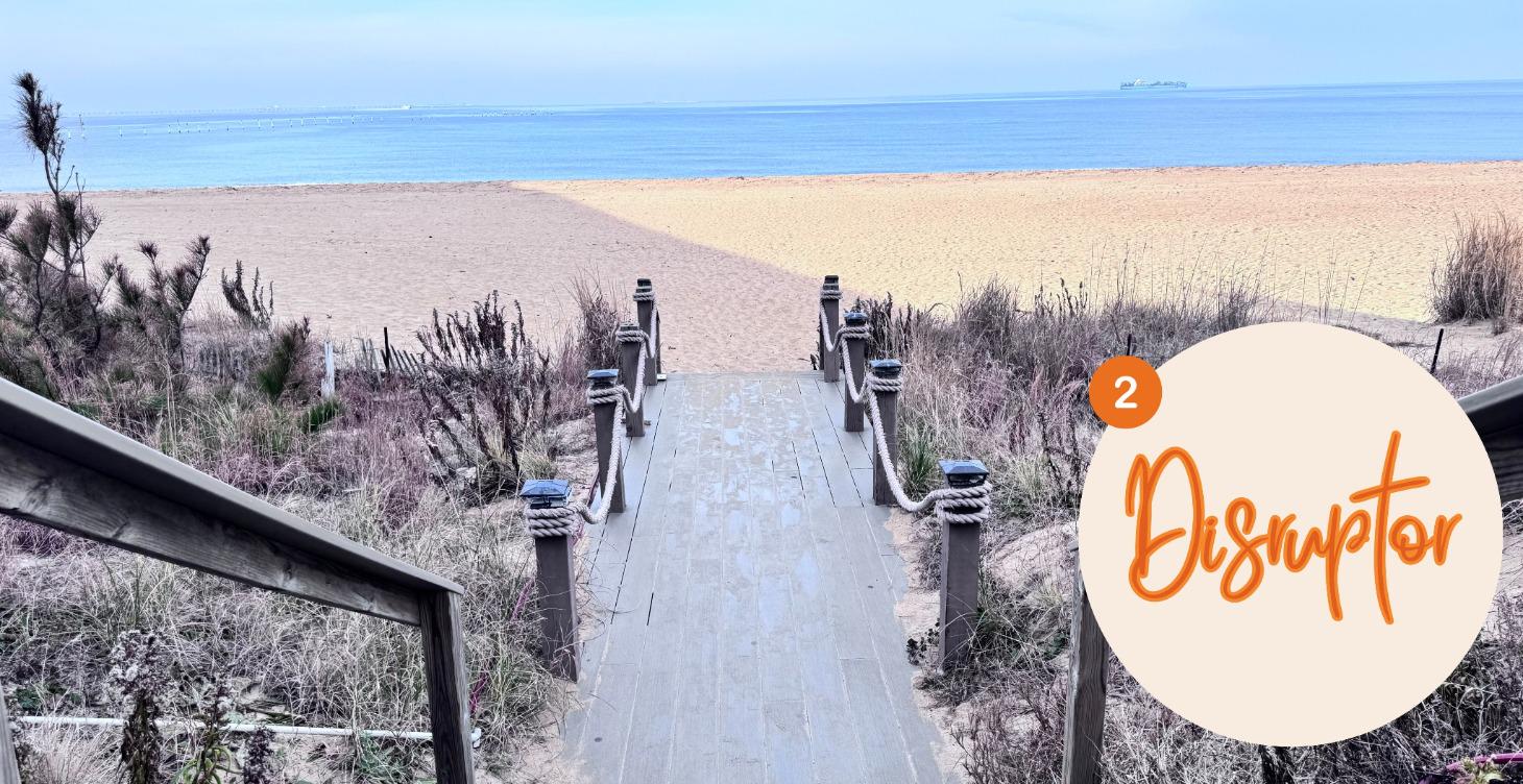 💥Level 2 - The Disruptor