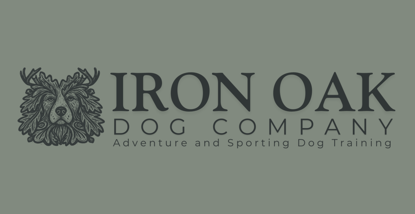 Dog Skool by Iron Oak Dog Co.