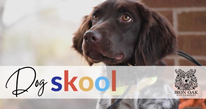 Dog Skool by Iron Oak Dog Co.