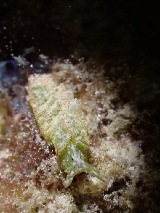 斯米蘭～