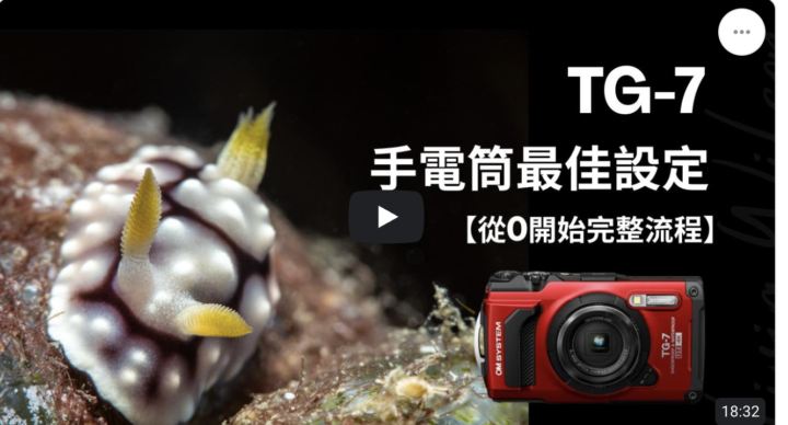 📢免費工作坊正式開始！TG67 手電筒最佳設定