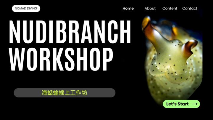 🐌【 海蛞蝓迷你工作坊 】Nudibranch Workshop