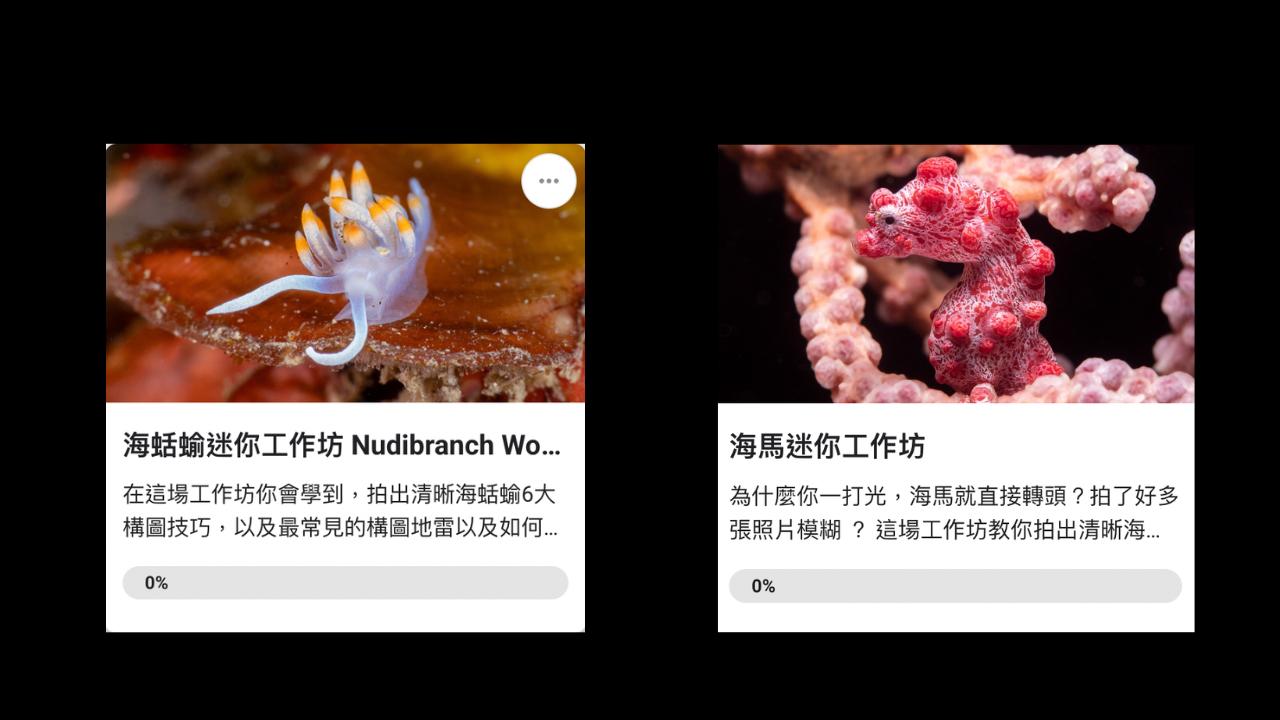 遊牧微距攝影｜Underwater Macro