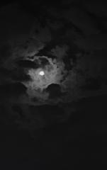 Jacqueline Martínez Hernández