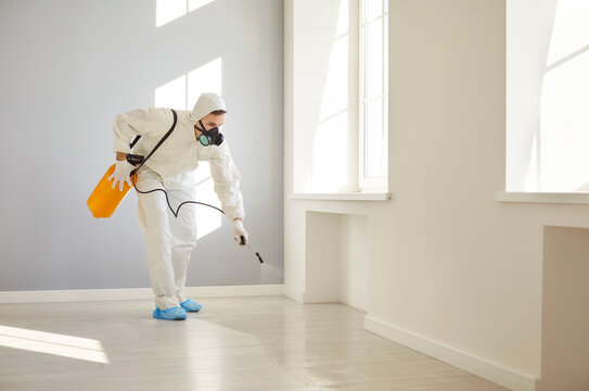 Termite Pest Control Jersey Shore, PA | Call (888) 584-8783