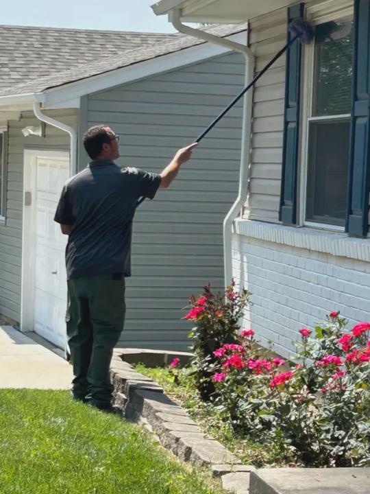 Termite Exterminator Mount Olive, AL | Call (888) 584-8783