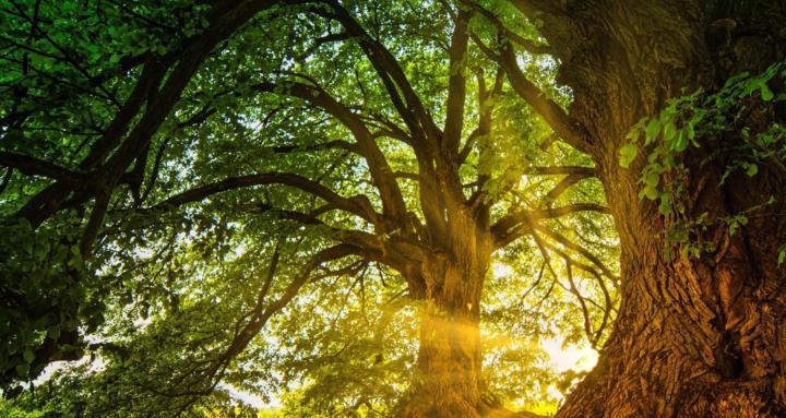 Besser Leben Akademie