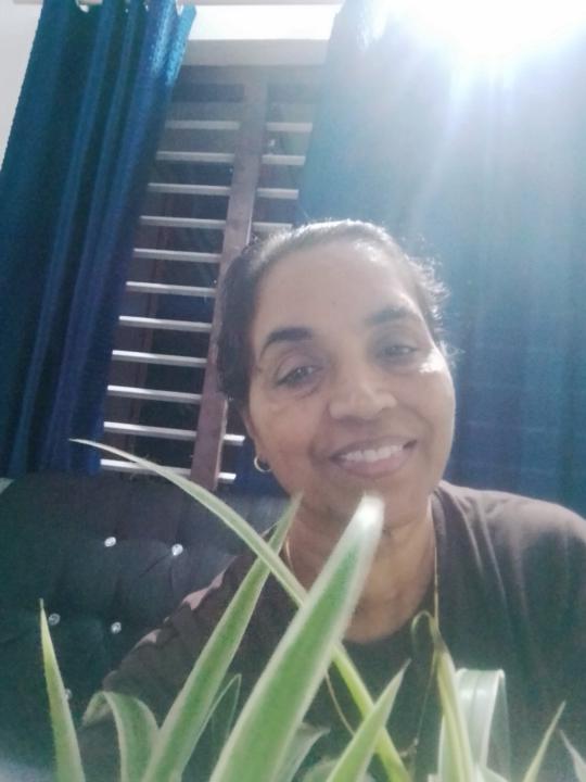 Celina Joseph villakunnel