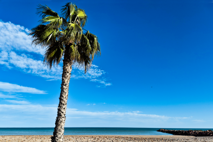 A Question for everyone!!