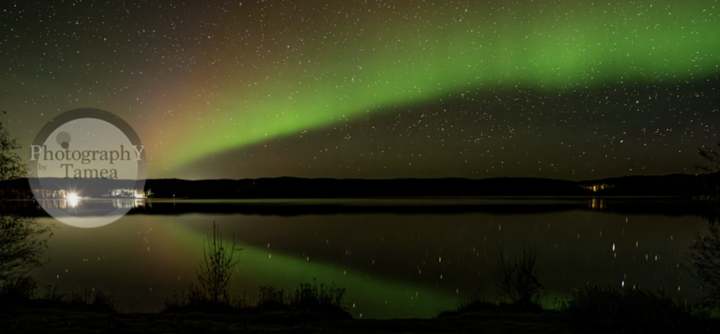 Photo Of the Week! #2