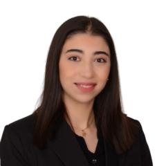 Emel N. Gedik