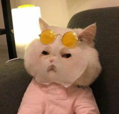 千慧 楊
