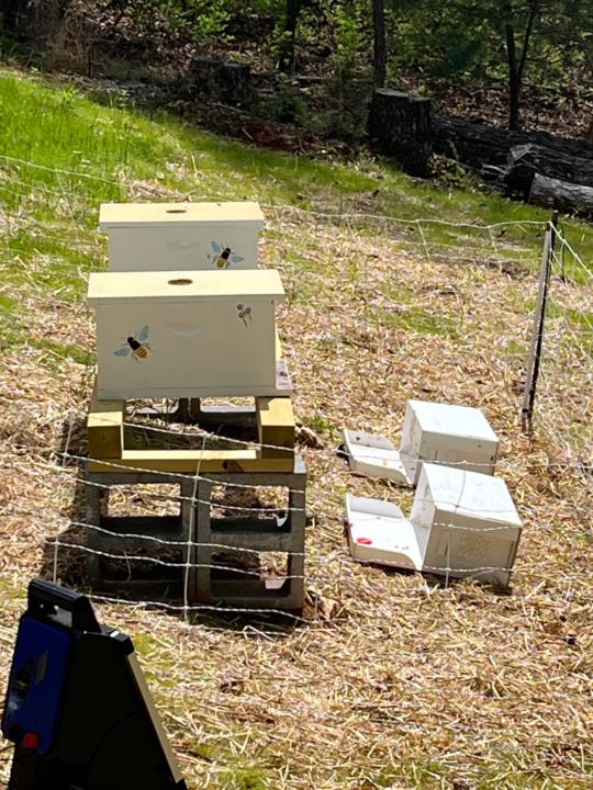 Gail and Anthony Karnavas