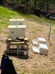 Gail and Anthony Karnavas