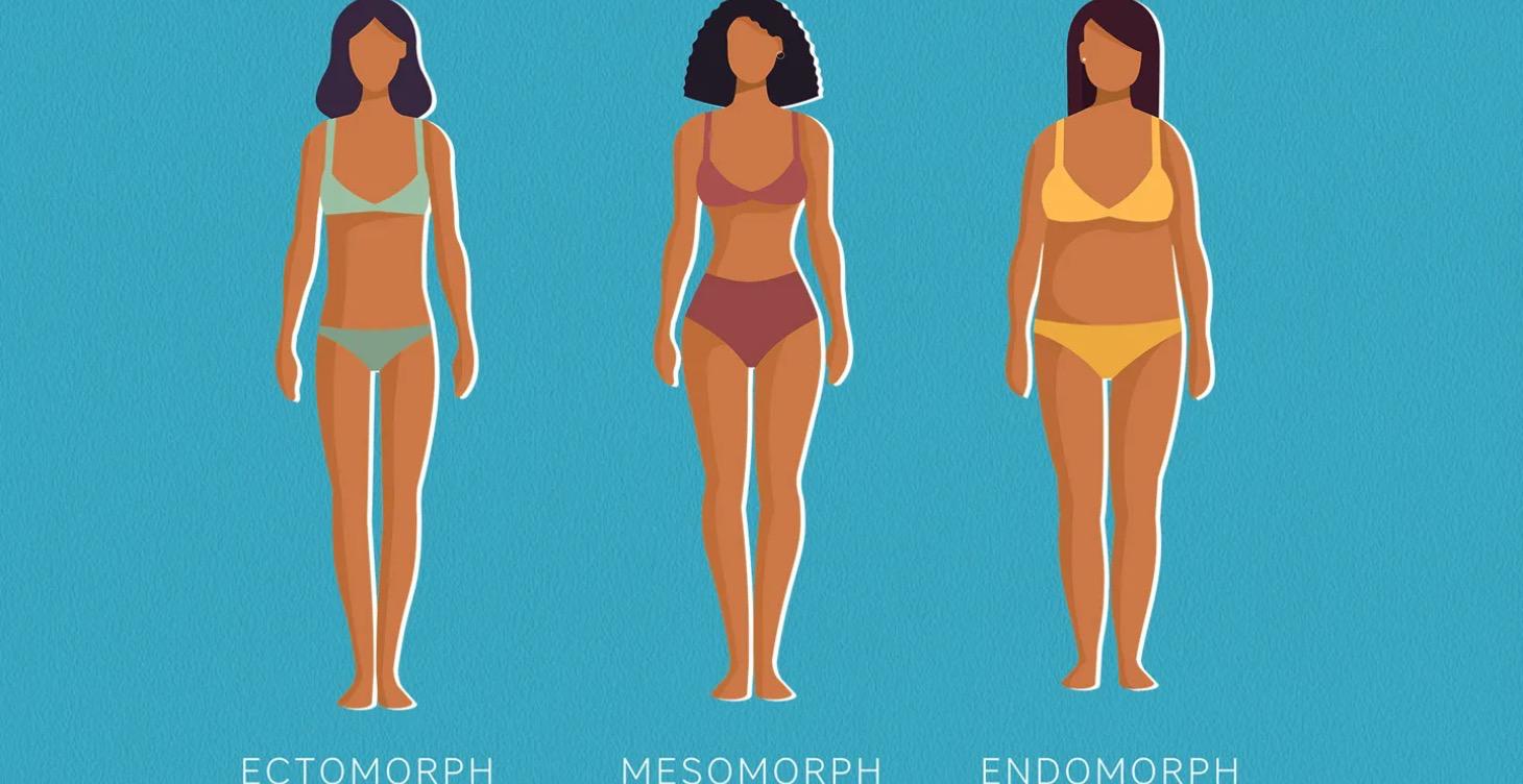How to Determine Your Body Type and Macros