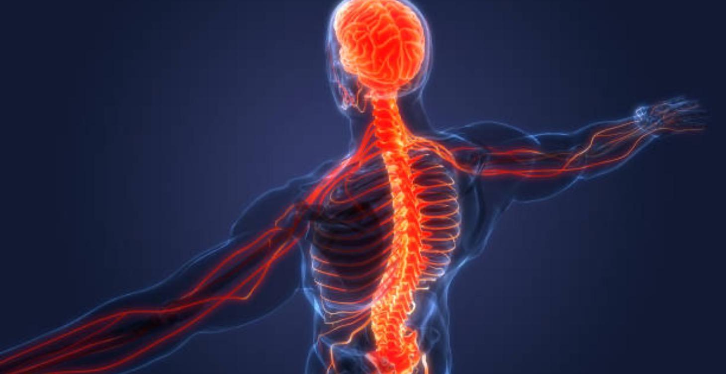 Is Your Nervous System Blocking Success?