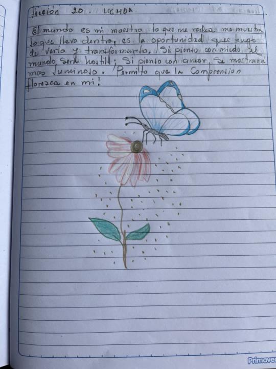 Lección 20 de UCDMA 