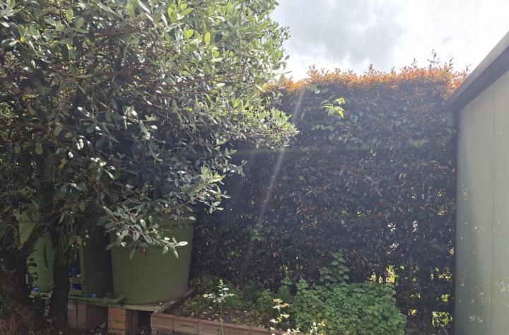 VIDEO - ¿Se acerca el Fin del Mundo para la humanidad? 