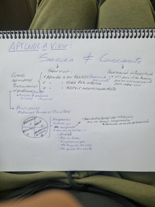 Postulado de la LEY DE EVOLUCION "Solo enfrentamos las situaciones que no hemos comprendido"