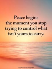 Elizabeth M Roncallo