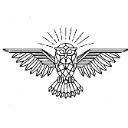 Sageness Business Network icon