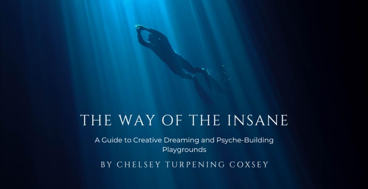 Book Series: The Way of the Insane